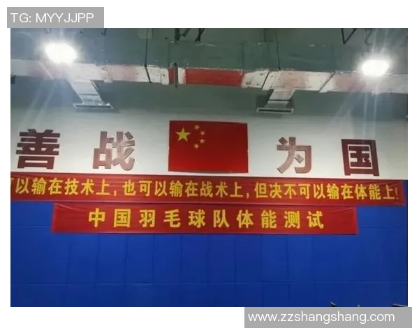 南京羽毛球队技术表现深度数据分析与战术优化研究